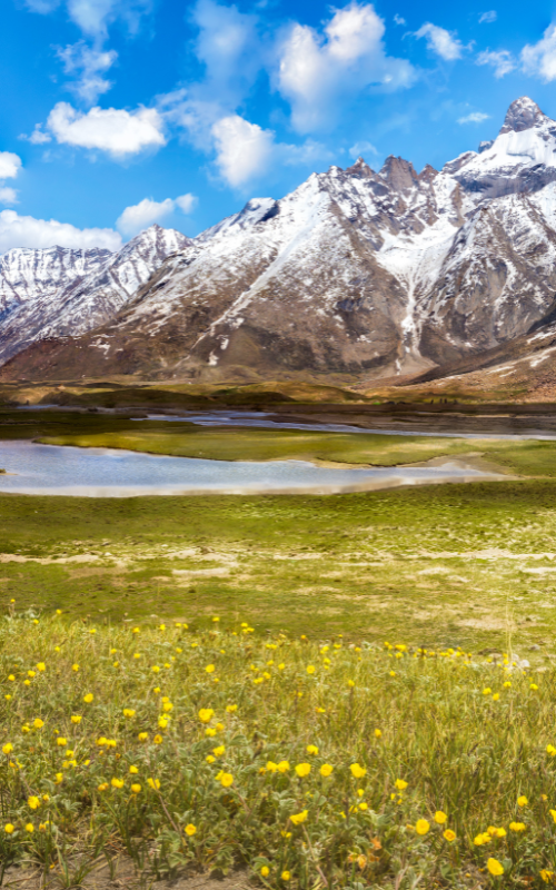 Ladakh Nubra Valley